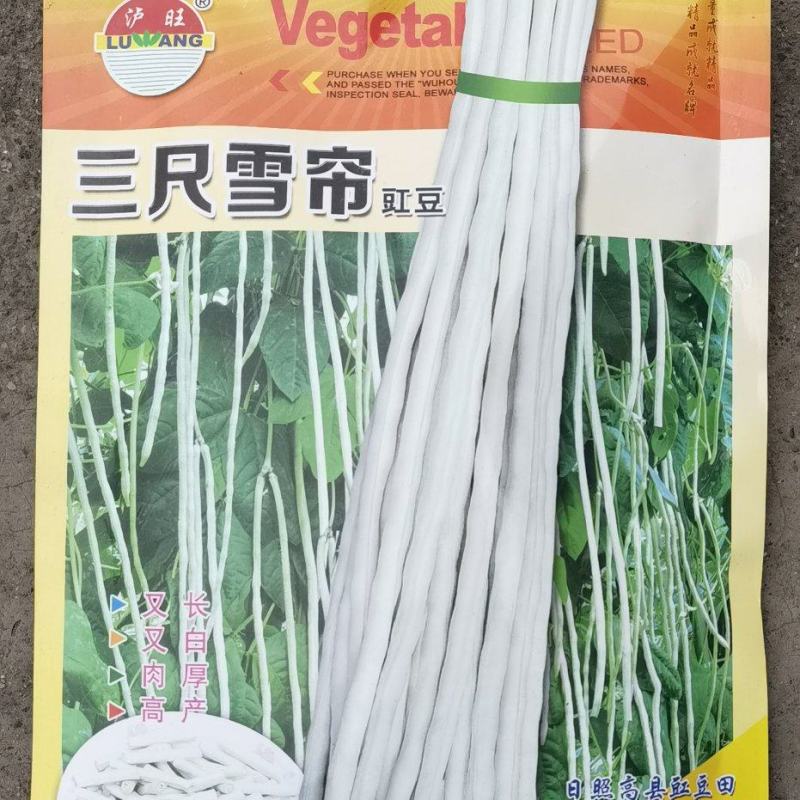 豇豆种子三尺雪帘厚肉型长70＿80厘米抗病产量高