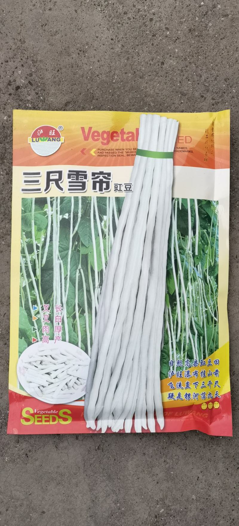 豇豆种子三尺雪帘厚肉型长70＿80厘米抗病产量高