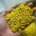 干桂花，桂花干，无硫干桂花，硫磺干桂花，微波干桂花，