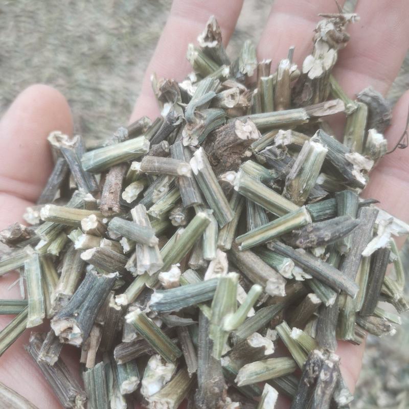 穿心莲一手货源，产地大量出售