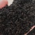 知母籽干货精选河北当年知母籽自家产新