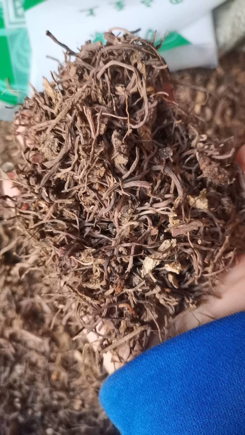 中药材紫菀正品紫苑生紫宛中草药子苑可制蜜炙紫苑