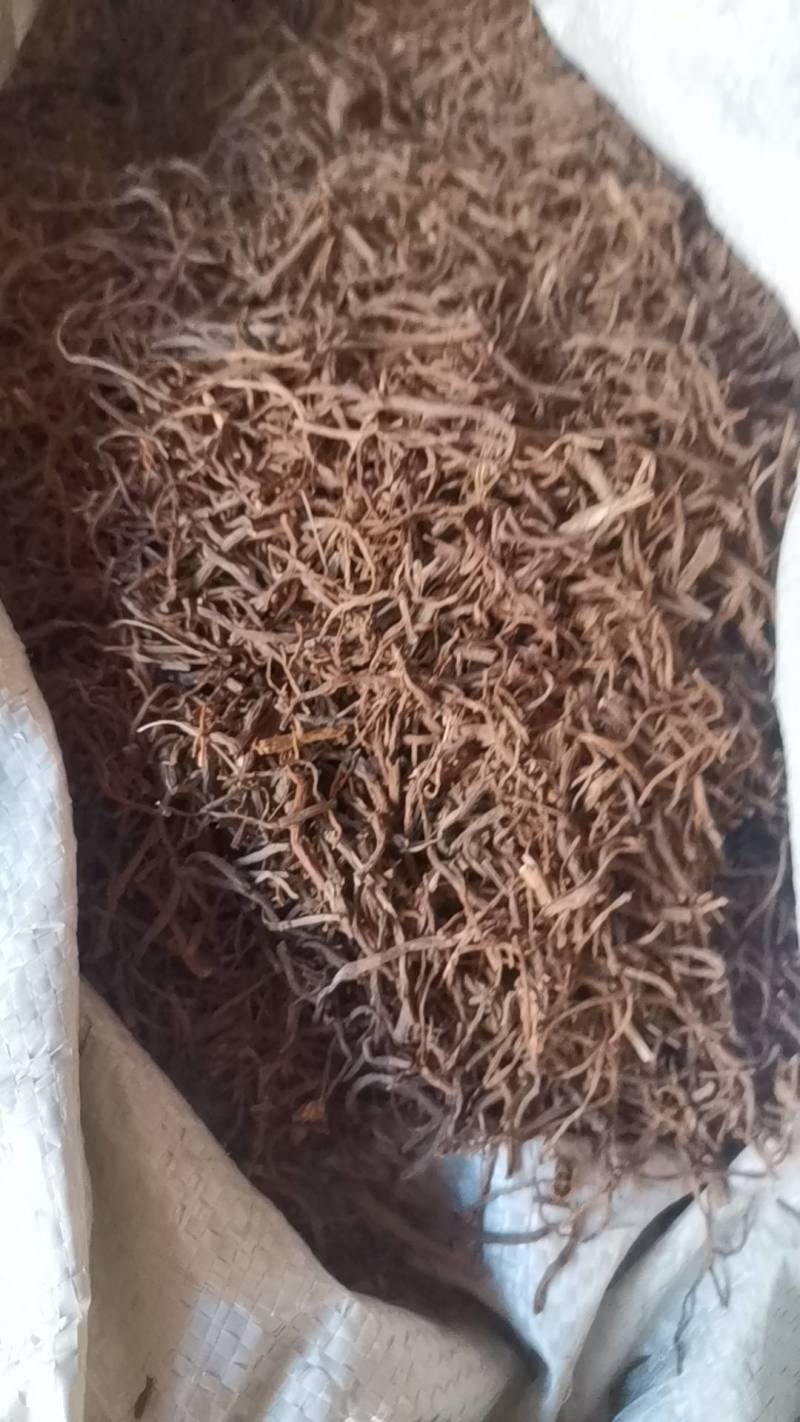 中药材紫菀正品紫苑生紫宛中草药子苑可制蜜炙紫苑