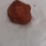 自然凉干的鸡宝