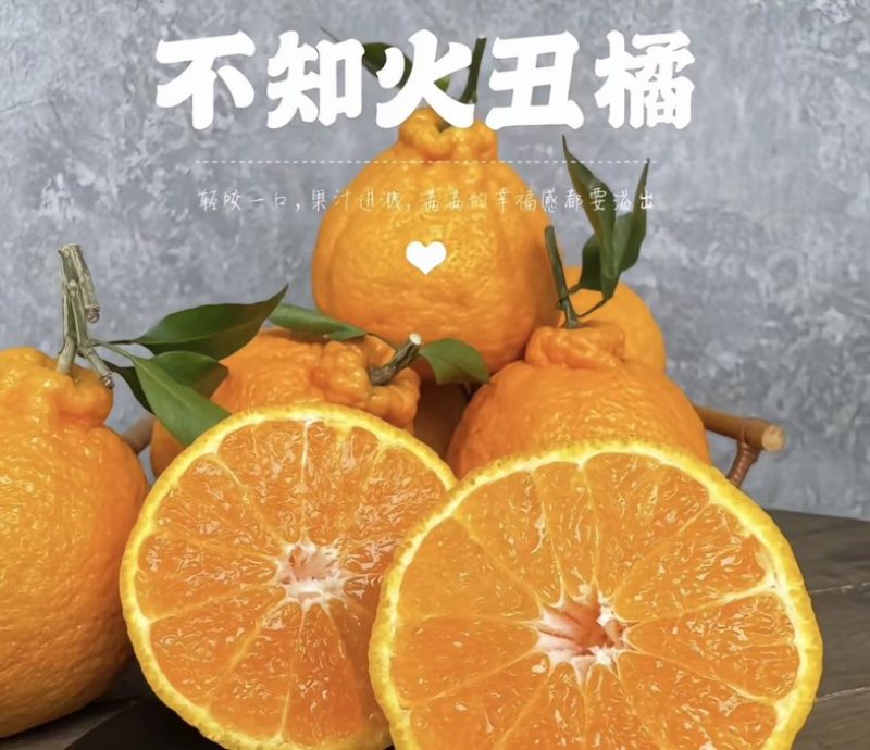 湖北假丑橘大量供货皮薄肉多量大从优