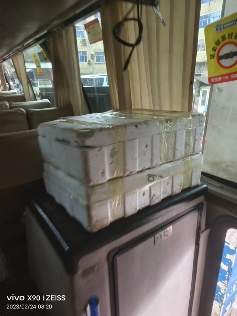 【优选】石蛙保质保量品质保障视频看货诚信经营