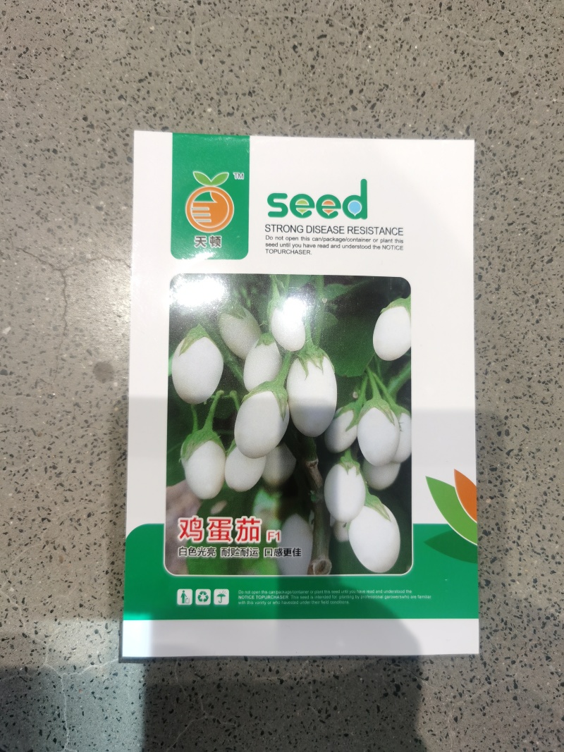 白蛋茄种子鸡蛋茄金银茄盆栽袖珍茄子口感好四季蔬菜种子