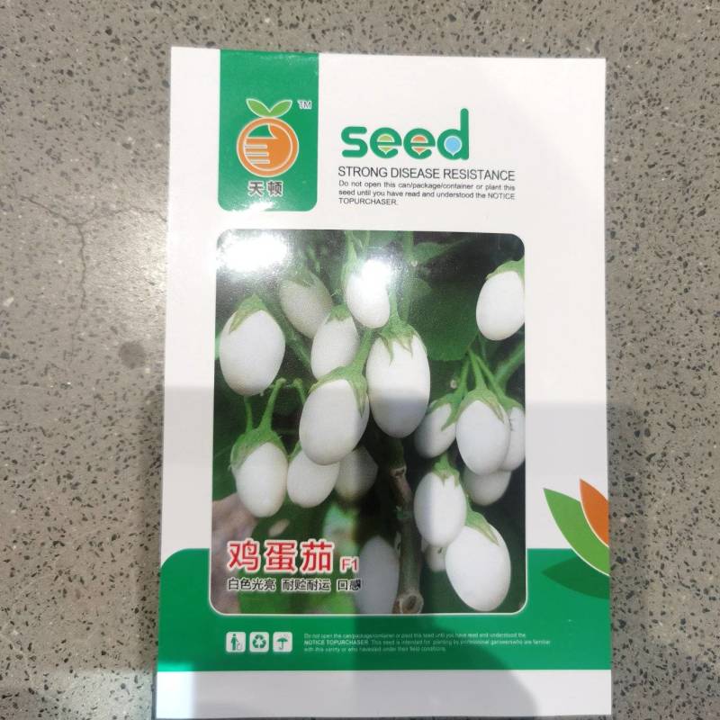 白蛋茄种子鸡蛋茄金银茄盆栽袖珍茄子口感好四季蔬菜种子