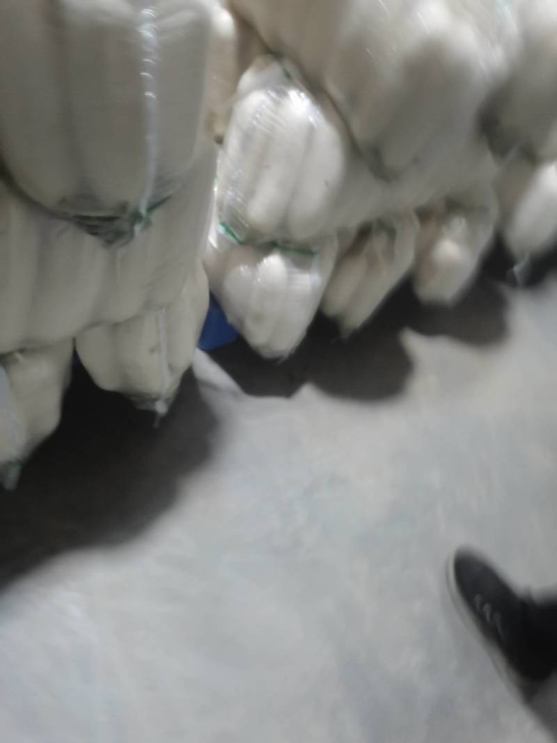 【白萝卜】湖北白萝卜无糠心畸形擦伤断头黑癍卖相好网袋净菜