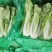 【小白菜】山东小白菜无黑点虫眼病虫害毛菜净菜纸箱泡沫箱都可