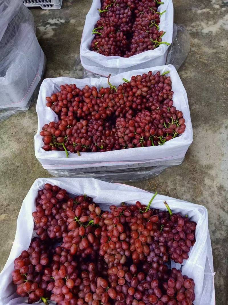 库存精品克伦生一手货源，产地直发，随到随装规格齐全