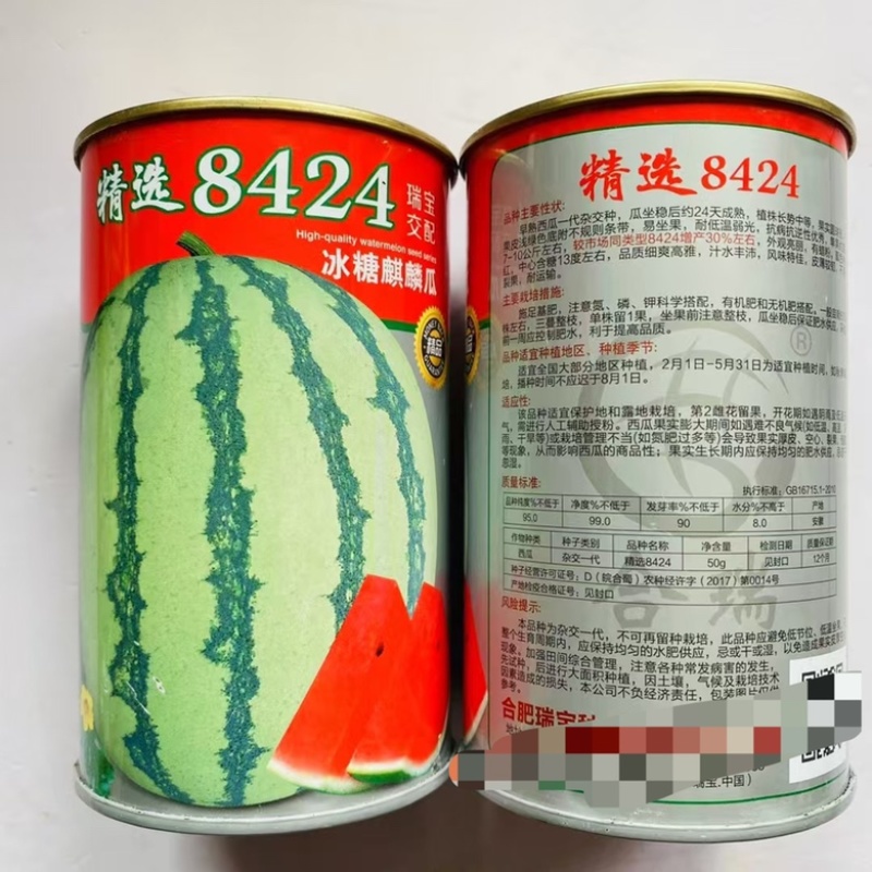 精选8424西瓜种子，早熟品种，早春越冬种植种子