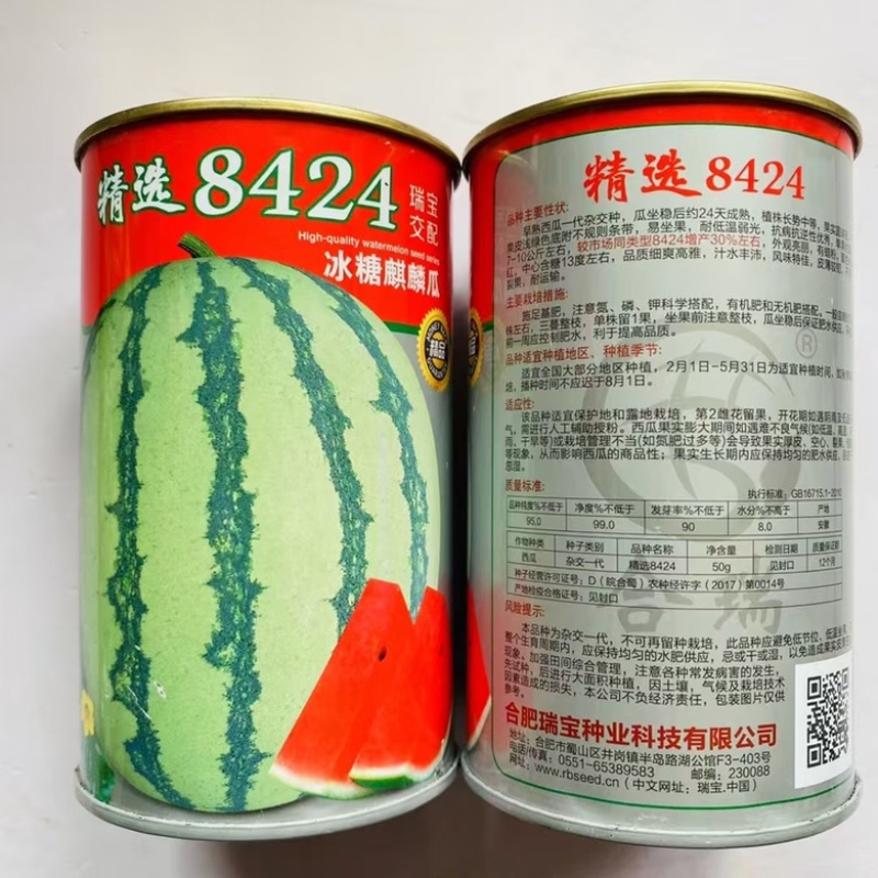 精选8424西瓜种子，早熟品种，早春越冬种植种子