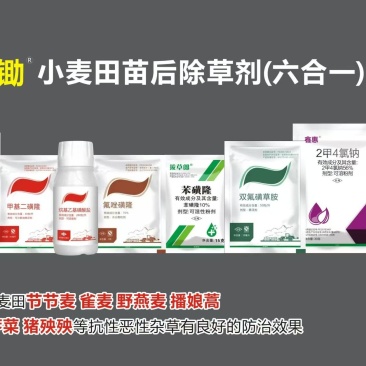 小麦除草剂小麦苗后除草针对节节麦燕麦雀麦专杀麦田杂草杀光