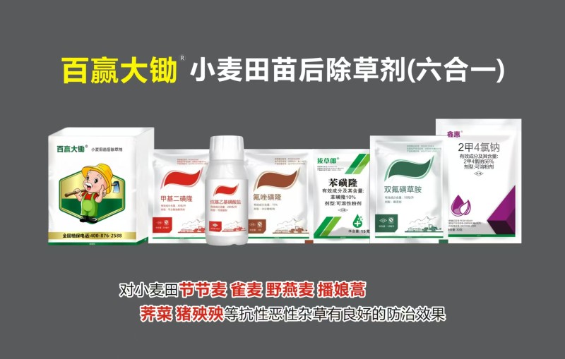 小麦除草剂小麦苗后除草针对节节麦燕麦雀麦专杀麦田杂草杀光