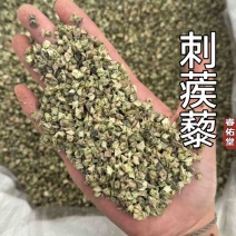 刺蒺藜蒺藜白蒺藜无硫实拍无杂质发货如图现货