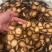 化州橘红切片化桔红化橘红正宗化州正品包邮橘红片茶店