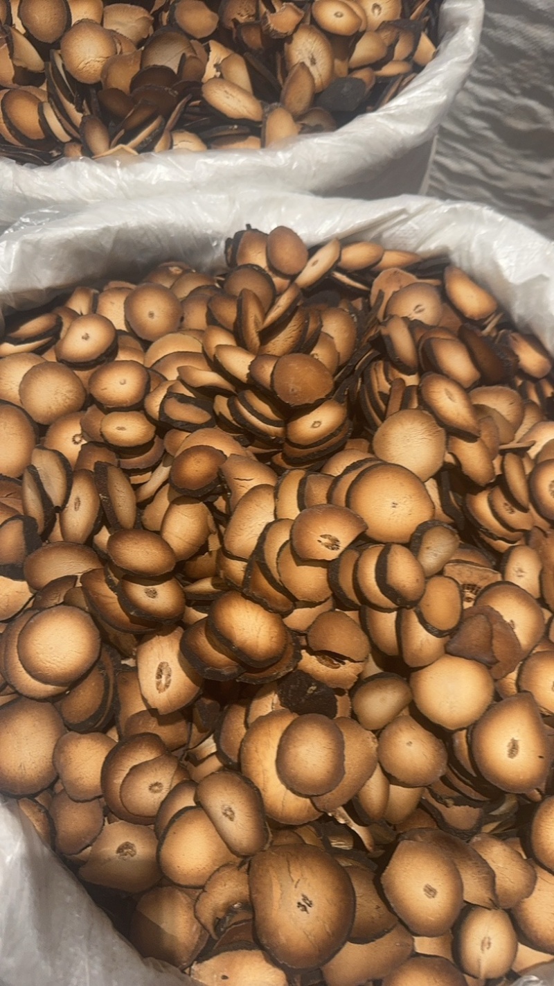 化州橘红切片化桔红化橘红正宗化州正品包邮橘红片茶店