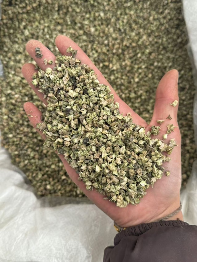 刺蒺藜蒺藜白蒺藜无硫实拍无杂质发货如图现货