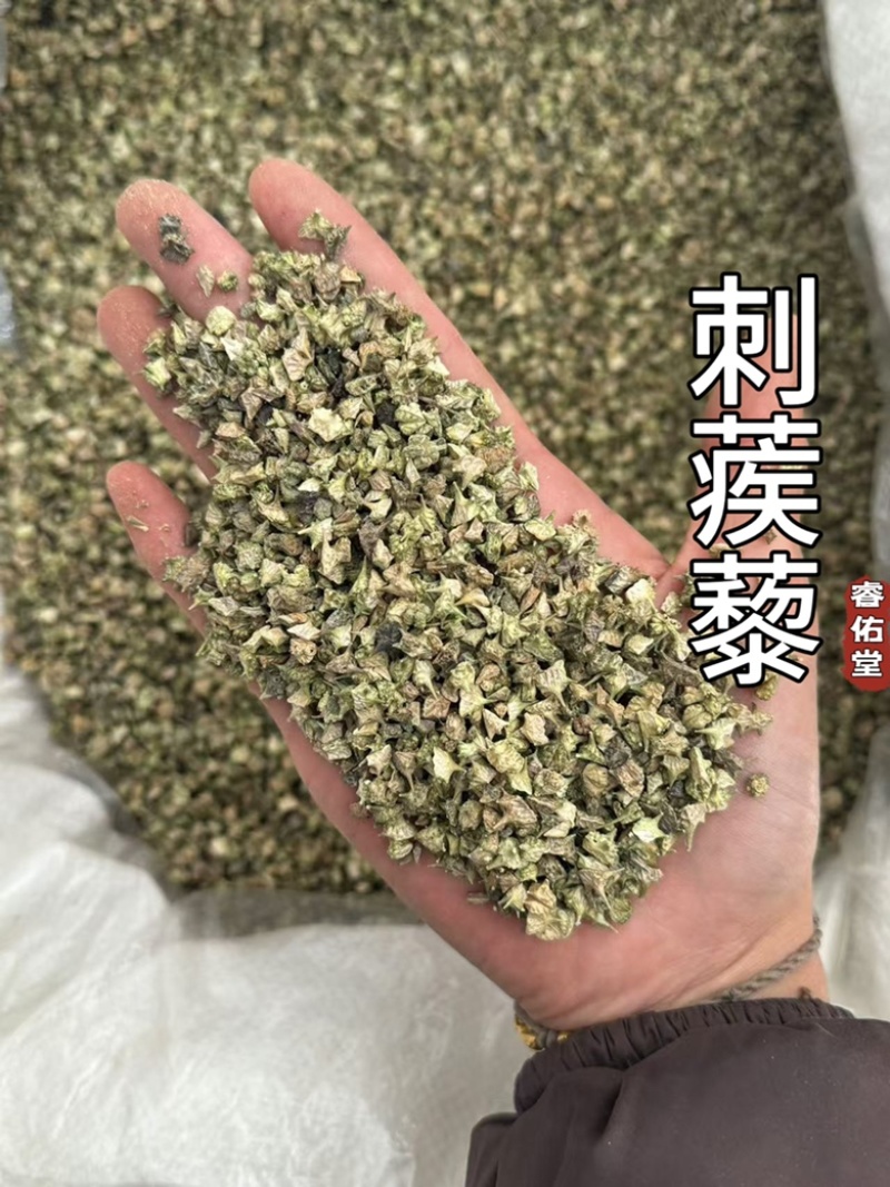 刺蒺藜蒺藜白蒺藜无硫实拍无杂质发货如图现货