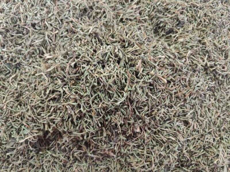 广州产地金银花，新鲜直供，健康养生，**特惠！