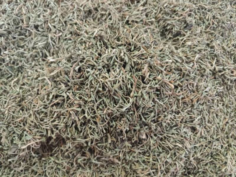 广州产地金银花，新鲜直供，健康养生，**特惠！