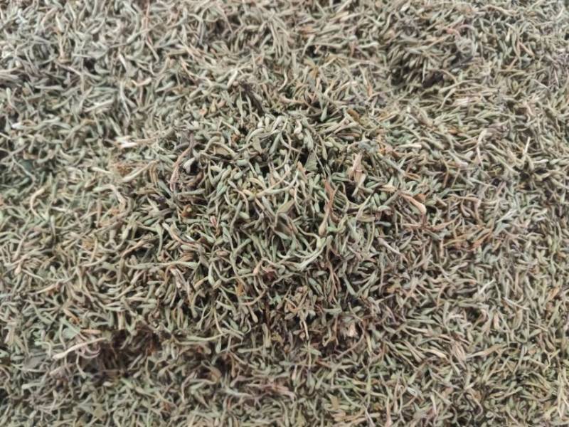 广州产地金银花，新鲜直供，健康养生，**特惠！