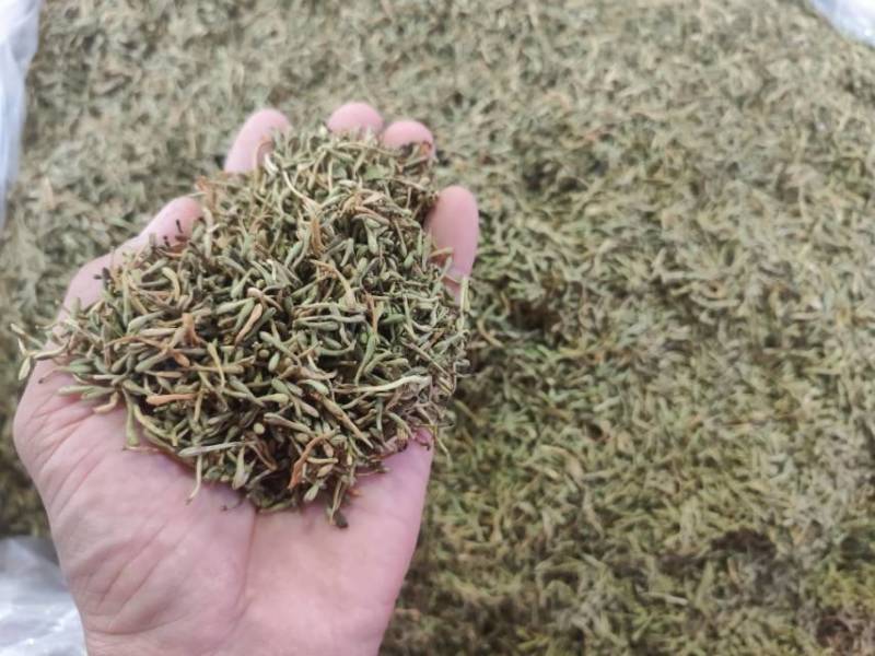 广州产地金银花，新鲜直供，健康养生，**特惠！