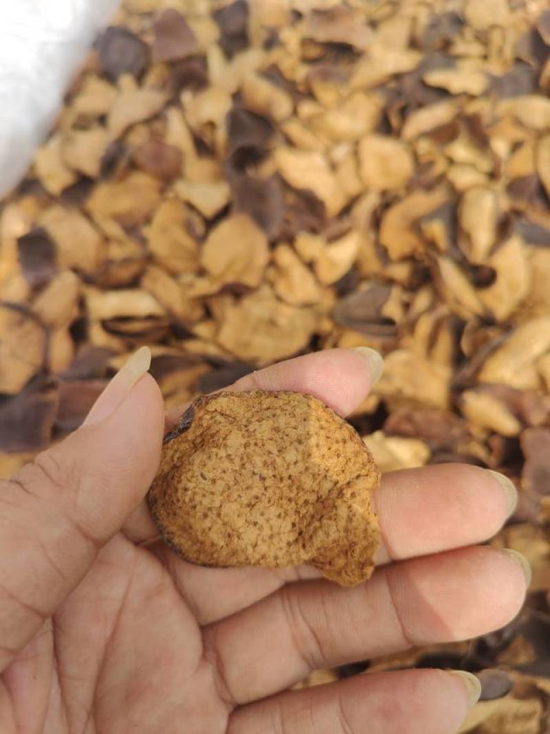 正宗新会十年老陈皮断片