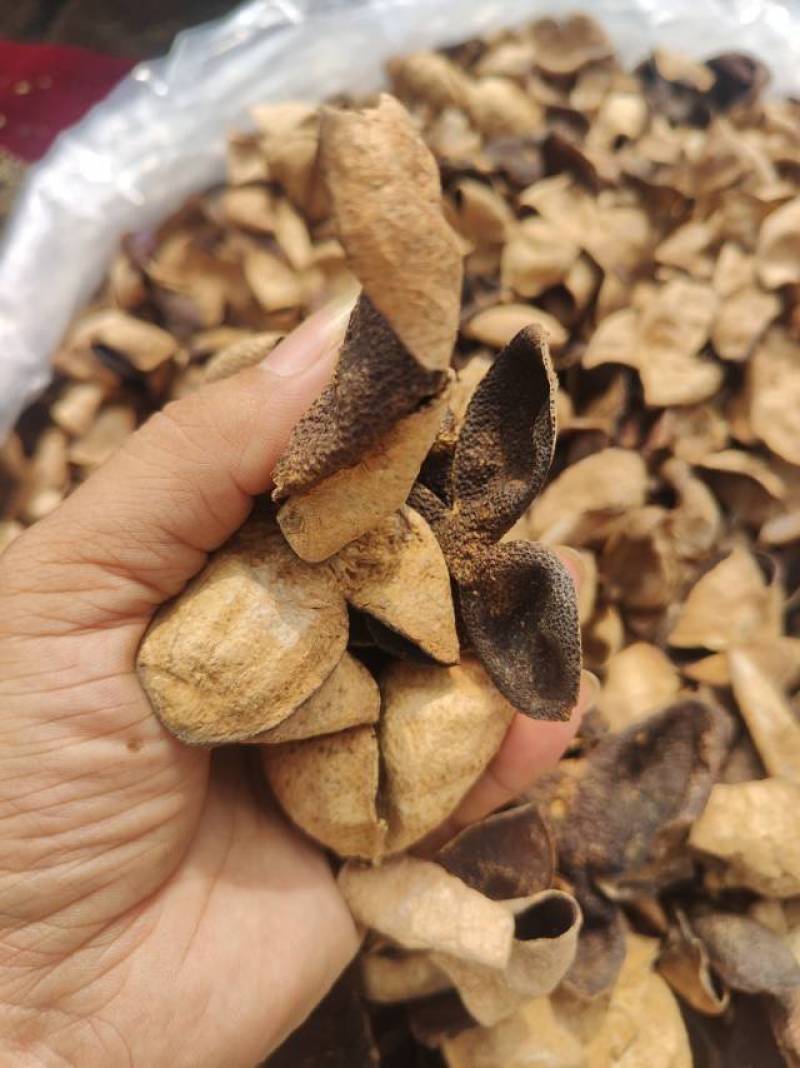正宗新会十年老陈皮断片