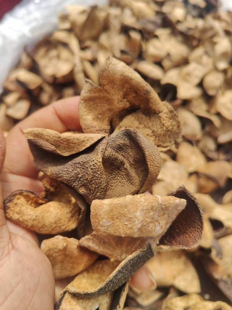 正宗新会十年老陈皮断片