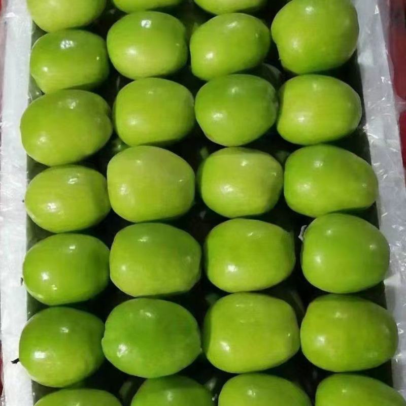 云南牛奶枣产地批发大量供应口感甜脆品质保证
