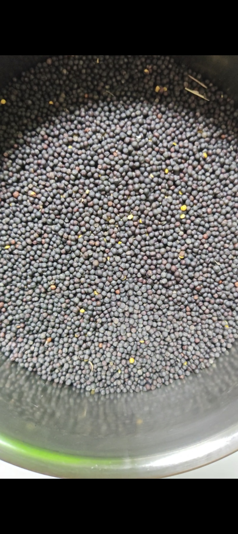 俄籽46含油，油色80-85分油色沉淀和未沉淀的油色