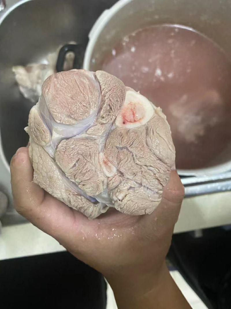 去皮肘骨