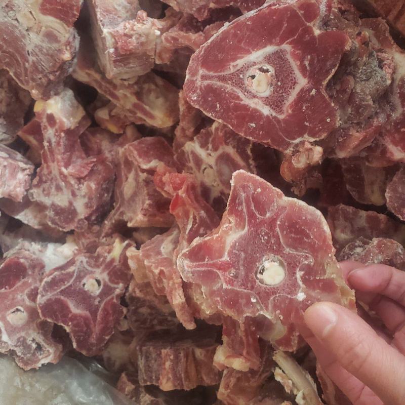 多肉羔羊羊蝎子