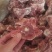 多肉羔羊羊蝎子