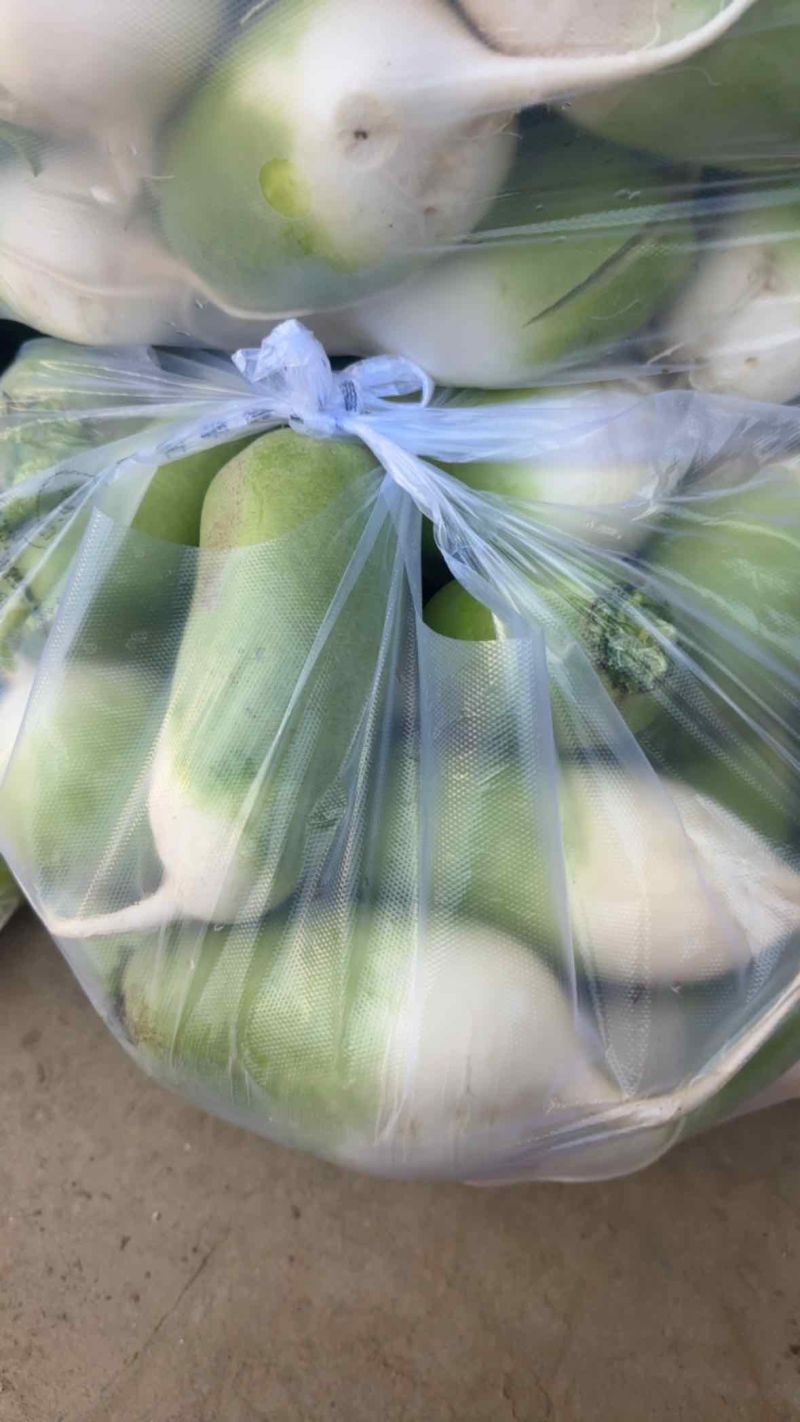 萝卜青萝卜罐萝卜大量供应产地直发全国发货