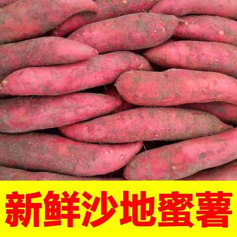 供西瓜红，济薯26烟薯25，红香蕉，来福，老黄皮，紫薯等