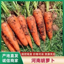 【热卖推荐】胡萝卜/带土/水洗胡萝卜/河南产地/全国发货