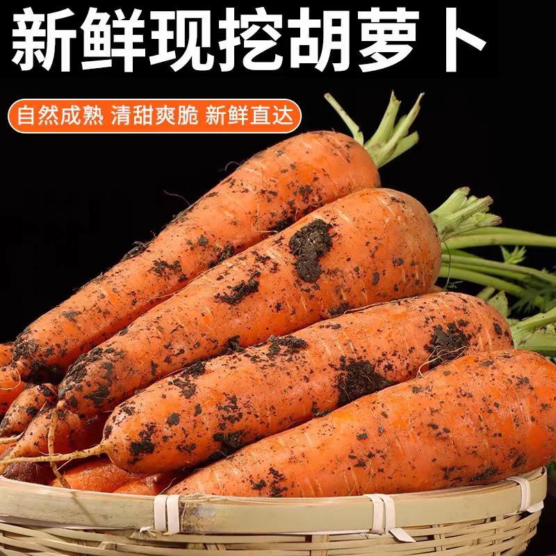 【热卖推荐】胡萝卜/带土/水洗胡萝卜/河南产地/全国发货