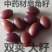 大皂角籽中药材皂角子皂荚籽正品皂籽新货野生皂角子皂角核