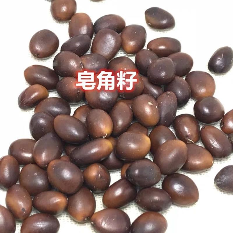 大皂角籽中药材皂角子皂荚籽正品皂籽新货野生皂角子皂角核