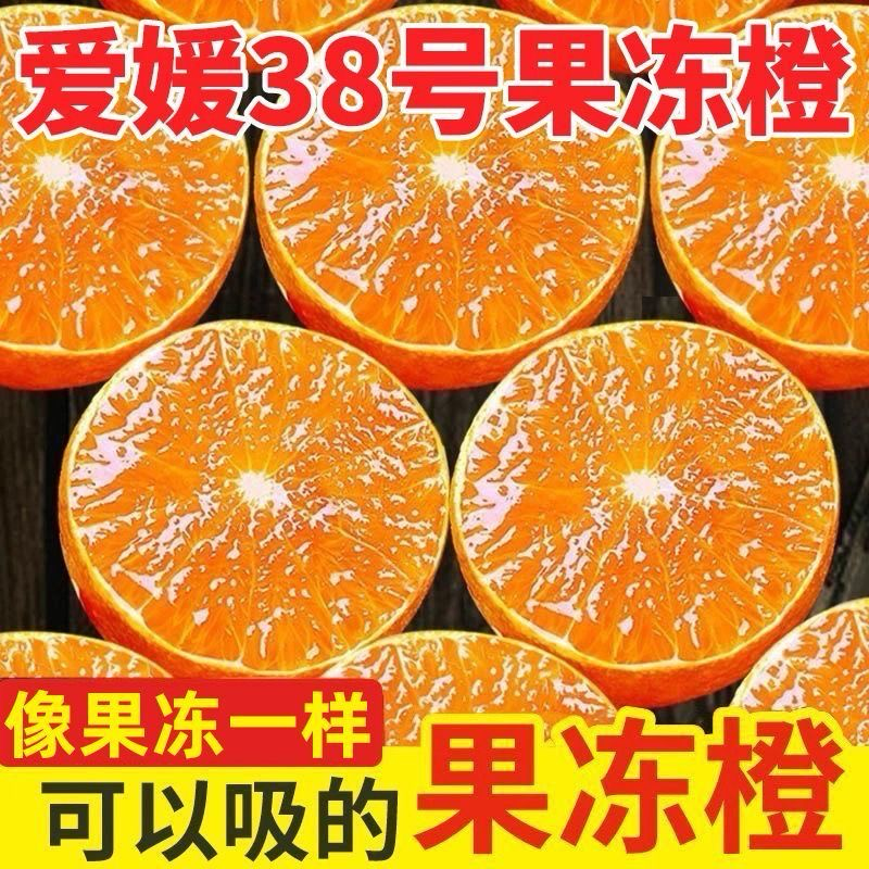 四川爱源果冻橙爱媛38号精品橙子四川爱媛橙电商货