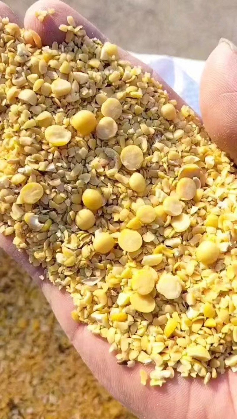 净粮碎大豆，适用于鸡鸭和猪牛羊养殖使用，无土无沙无霉变
