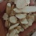 天花粉产地直发量大优惠代抓各种药方