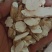 天花粉产地直发量大优惠代抓各种药方