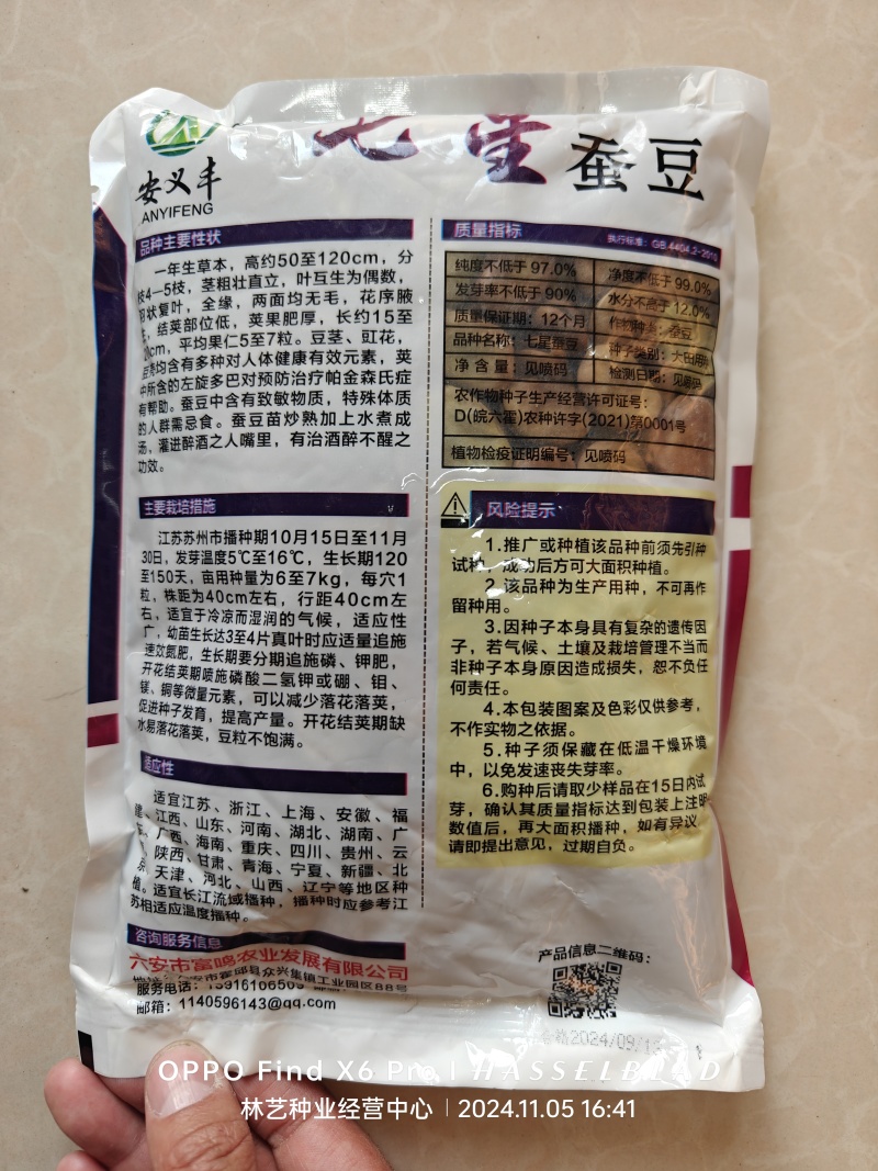 七星蚕豆种子七星胡豆中早熟结荚多不易裂荚秋季菜农播种蔬菜