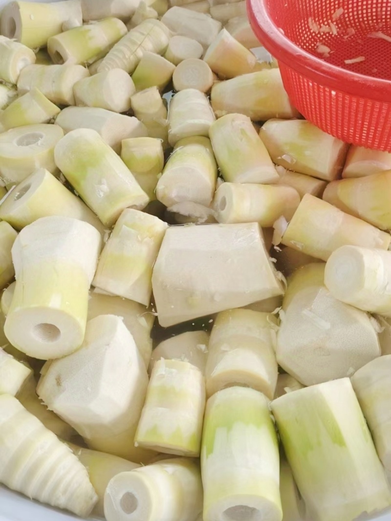 广西笋片新鲜脆嫩笋片清水甜笋片不苦无酸味