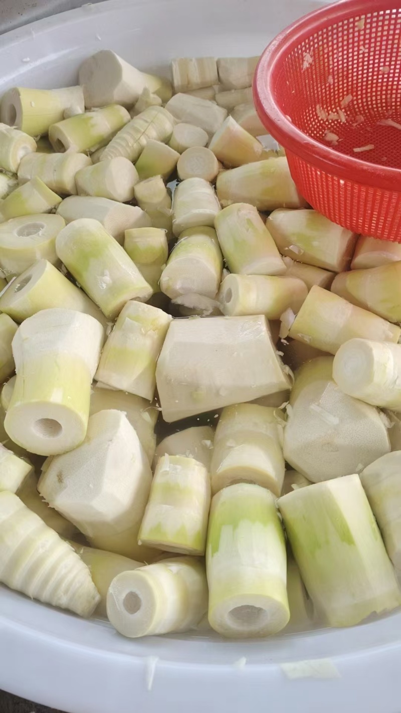 广西笋片新鲜脆嫩笋片清水甜笋片不苦无酸味