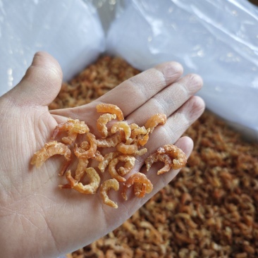 金钩虾仁海米原干米干度好大量有货
